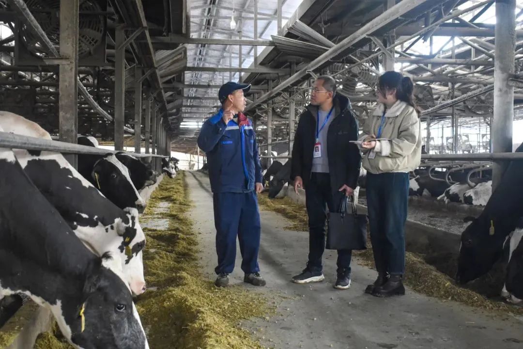 聚焦全會?學(xué)習(xí)貫徹丨南平：一以貫之推進(jìn)全面從嚴(yán)治黨 為奮力推進(jìn) 中國式現(xiàn)代化南平實踐清障護(hù)航